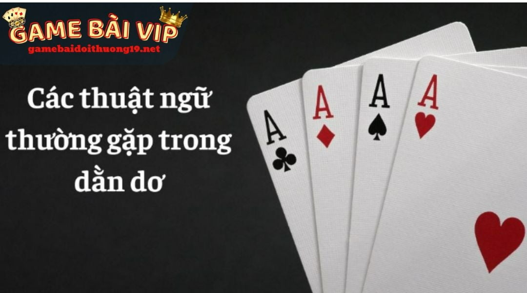 Dằn dơ là gì và một số thuật ngữ cơ bản